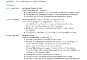 International Student Resume Sample International Student Advisor Resume Sample Livecareer