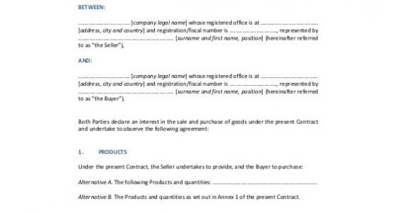 International Trade Contract Template Sales Agreement Template 22 Word Pdf Google Docs