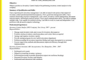 Inventory Analyst Cover Letter 7 Financial Analyst Cv Example Financial Statement form