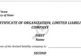 Iowa Llc Certificate Of organization Template Free Certificate Of organization for Llc In Iowa