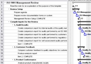 Iso 9001 Templates Free Download iso 9001 Management Review Template for Project 2007 or
