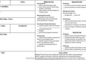 Issp Template Guided Reading Lesson Plan Template 3rd Grade Guided