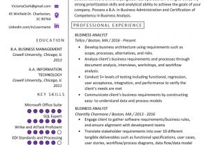It Business Analyst Resume Sample Business Analyst Resume Example Writing Guide Resume