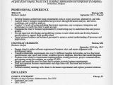 It Business Analyst Resume Sample Business Analyst Resume Sample Writing Guide Rg