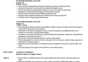 It Business Analyst Resume Sample It Senior Business Analyst Resume Samples Velvet Jobs