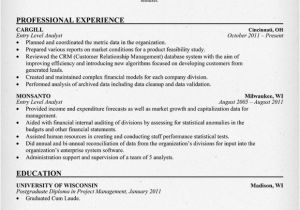 It Business Analyst Resume Samples with Objective Business Analyst Resume Objective
