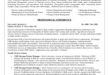 It Business Analyst Resume Samples with Objective Business Analyst Resume Sample Career Diy Pinterest