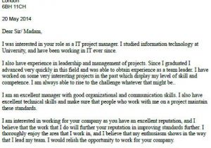 It Director Cover Letter Samples Cover Letter Example It Project Manager Covering Letter