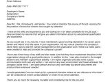 It Director Cover Letter Samples Executive Cover Letter Samples Director Letter Of