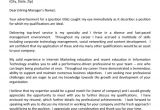 It Director Cover Letter Samples It Manager Cover Letter Example