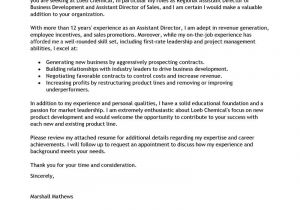 It Director Cover Letter Samples Leading Management Cover Letter Examples Resources