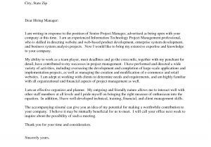 It Director Cover Letter Samples Sample Cover Letter for It Project Manager Position