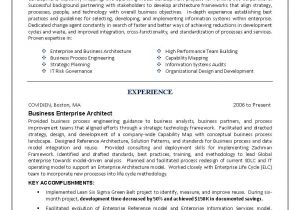 It Engineer Resume Examples It Resume Engineering Sample Resume Business Architect