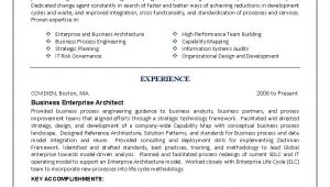 It Engineer Resume Sample It Resume Engineering Sample Resume Business Architect