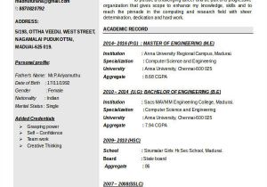 It Fresher Resume format Doc It Fresher Resume 6 Free Word Pdf Documents Download
