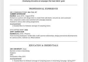 It Fresher Resume format Download In Ms Word top 10 Fresher Resume format In Ms Word Free Download