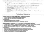 It Network Engineer Resume Pin by Jeff Lee On Resume Template Resume Objective