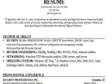 It Professional Resume 24 It Resume Templates Pdf Doc Free Premium Templates