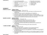 It Professional Resume Best software Training Resume Example From Professional