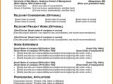 It Professional Resume Pdf 5 Professional Resume Pdf Professional Resume List