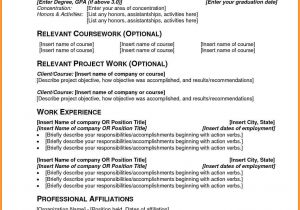 It Professional Resume Pdf 5 Professional Resume Pdf Professional Resume List