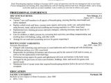It Professional Resume Samples 100 Free Resume Samples Examples at Resumestime