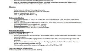 It Professional Resume Samples Sample It Cv Template 7 Free Documents Download In Word