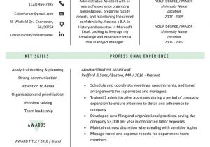 It Professional Resume Template Free Download Free Creative Resume Templates Downloads Resume Genius