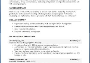 It Professional Resume Template Free Download Nuvo Entry Level Resume Template Download Resume