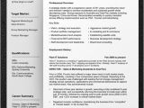 It Professional Resume Template Free Download Resume Templates Download Professional Resume Template