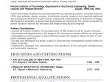 It Professional Resume Template Professional Level Resume Samples Resumesplanet Com