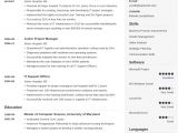 It Professional Resume Templates 20 Resume Templates Download Create Your Resume In 5