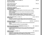 It Professional Resume Templates Professional Resume Example 7 Samples In Pdf