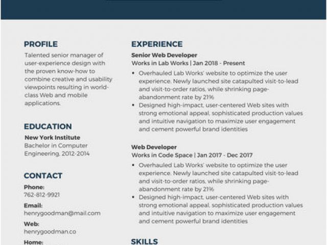 resume template it professional
