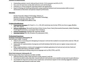It Professional Resume Templates Sample It Cv Template 7 Free Documents Download In Word