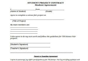 It Project Contract Template 11 Project Contract Templates Word Pdf Google Docs