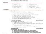 It Project Manager Resume Sample Best Technical Project Manager Resume Example Livecareer