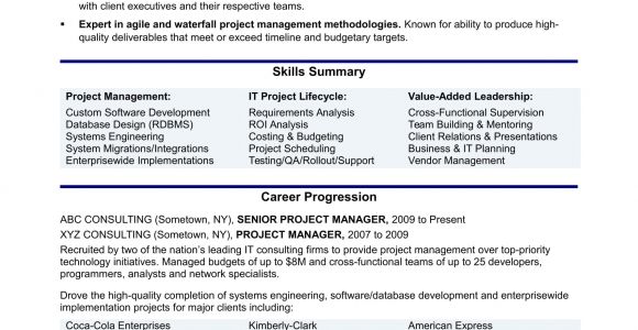 It Project Manager Resume Sample Experienced It Project Manager Resume Sample Monster Com