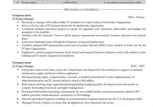 It Project Manager Resume Sample It Manager Resume Samples and Writing Guide Resumeyard