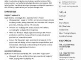 It Project Manager Resume Sample Project Manager Resume Sample Writing Guide Rg