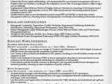 It Project Manager Resume Sample Project Manager Resume Sample Writing Tips Resume
