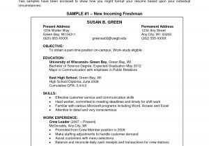 It Resume Objectives Samples Examples Of Objectives On A Resume Example Resume