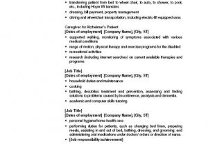 It Resume Objectives Samples Resume Objective Examples Resume Cv