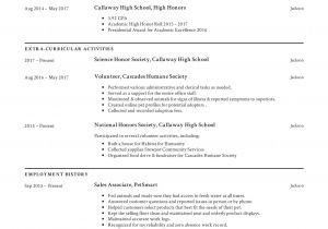 It Student Resume High School Student Resume Templates 2019 Free Download
