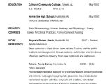 It Student Resume Sample No Experience Sample Masters Comparative Composition On Teaching and