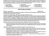 It Team Lead Resume Sample 17 Best Images About Resume Examples On Pinterest Resume