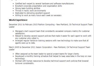 It Team Lead Resume Sample Professional Technical Support Team Leader Templates to