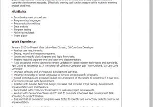 Java Basic Resume Java Developer Resume Bravebtr