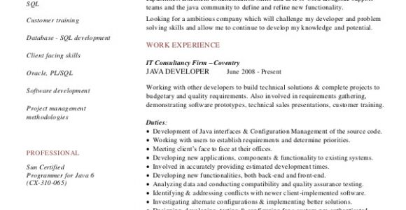Java Developer Resume Sample Sample Java Developer Resume 7 Examples In Word Pdf