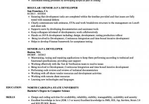 Java Developer Resume Sample Senior Java Developer Resume Samples Velvet Jobs